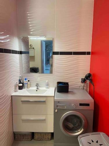 une salle de bain avec une machine à laver et un lavabo dans l'établissement Katy, à Tournon-sur-Rhône