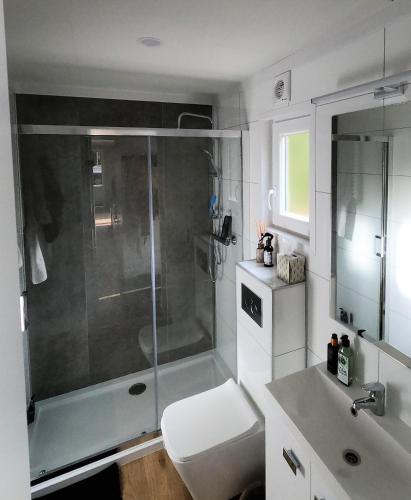 a bathroom with a shower and a toilet and a sink at Luxe Chalet Leeuwenhart - recreation only in Hoenderloo
