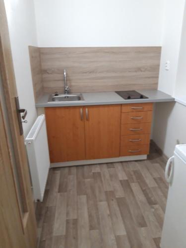 uma pequena cozinha com um lavatório e armários de madeira em Apartmán Plasy em Plasy