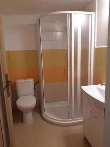a bathroom with a shower and a toilet and a sink at Apartmán Plasy in Plasy