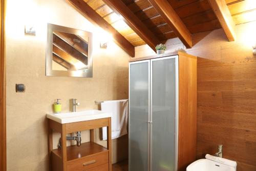 a bathroom with a shower and a sink and a toilet at Apartamentos Villa Fresnedo in Solares