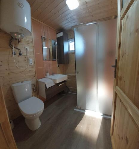 a bathroom with a toilet and a sink at Domki w Sosnowym Lesie in Rembów