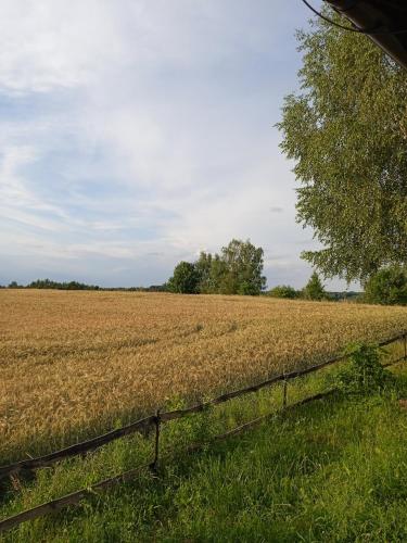 a fence in front of a field of crops at Agroturystyka Lisa Młyn in Najmowo