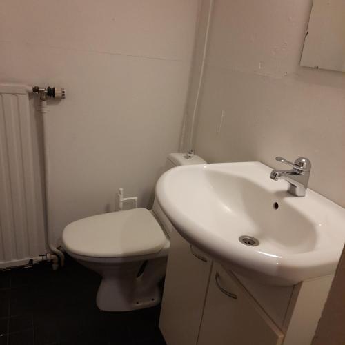 a white bathroom with a toilet and a sink at Willa Witsari 35m2 asunto in Kokkola