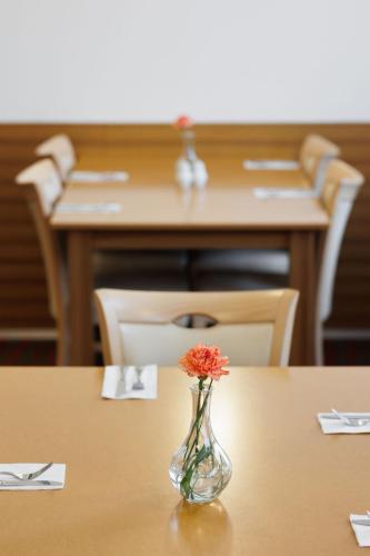 a vase of flowers sitting on top of a table at OREA Hotel Voro Brno in Brno