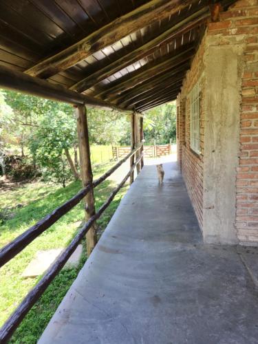 La Paisana – Photos 3