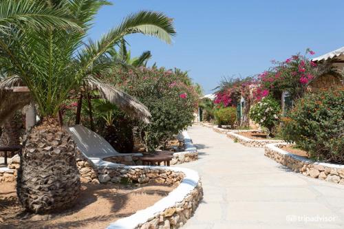 Κήπος έξω από το Cupola Bianca Resort