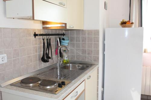 cocina con fregadero y encimera en Gorgonia Apartments, en Verunić