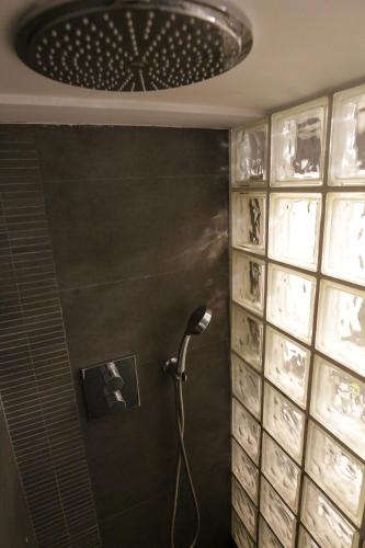 bagno con doccia in una camera con soffitto di Duplex en Chamberi Osoteca a Madrid