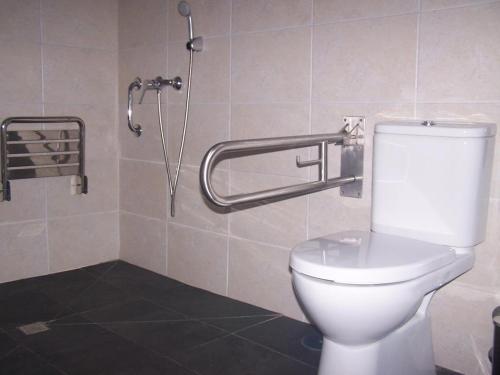 łazienka z toaletą i prysznicem w obiekcie CASA DO CRUCEIRO - RÍAS BAJAS w mieście Tomiño