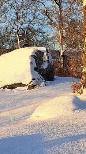 a rock covered in snow in a yard at Évika boutique hotel in Eskilsby