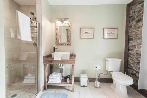 a bathroom with a shower and a toilet and a sink at Light Horse Inn in Harpers Ferry