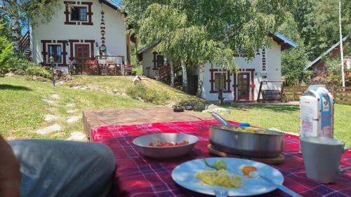 a picnic table with food on a red blanket at Gočke Lux vile & Duplex in Vrnjačka Banja