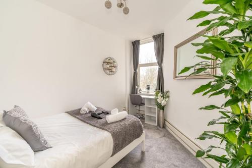 - une chambre avec un lit, un miroir et des plantes dans l'établissement Charming 1 Bedroom Apartment - Edinburgh, à Édimbourg