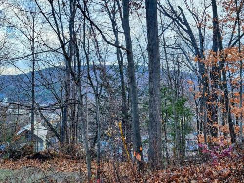 residency on Hudson – Photos 5