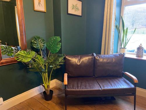 a brown leather couch in a room with plants at The Ancient Briton in Pen-y-cae