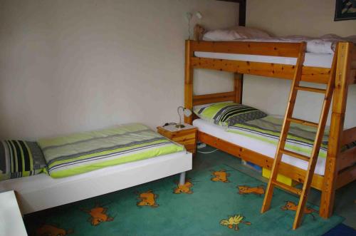 1 Schlafzimmer mit 2 Etagenbetten und einem grünen Teppich in der Unterkunft Behringer in Immenstaad am Bodensee