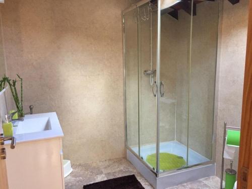 y baño con ducha y puerta de cristal. en Casa Agrícola Do Limonete, en Figueira da Foz