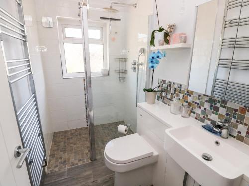 a bathroom with a toilet and a sink and a shower at 1 Gloucester Way in Pembroke Dock