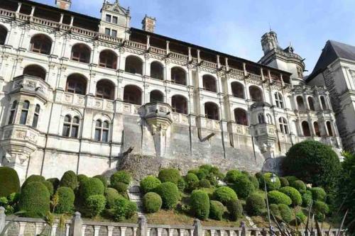 duży budynek z krzakami przed nim w obiekcie Coeur de Blois appartement neuf w mieście Blois