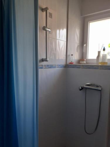 ein Bad mit einer Dusche und einer Glastür in der Unterkunft LE PETIT PLESSIS CURE in Liré