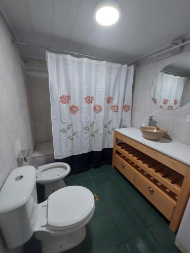 a bathroom with a white toilet and a sink at Los Rododendros in Villa La Angostura