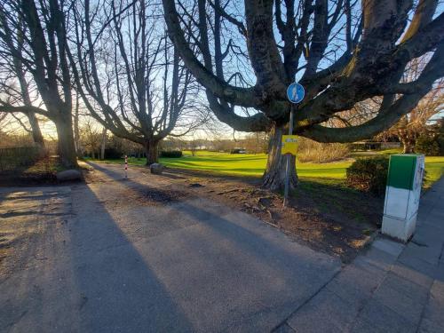 a street with trees on the side of a road at Ferienhaus Cissy in Lübeck