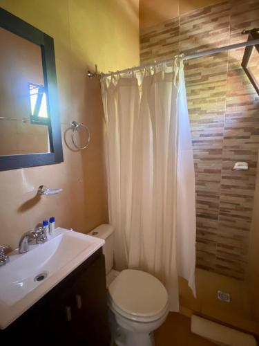 a bathroom with a toilet and a sink and a shower at Ibera Birding Lodge Guest House in Loreto
