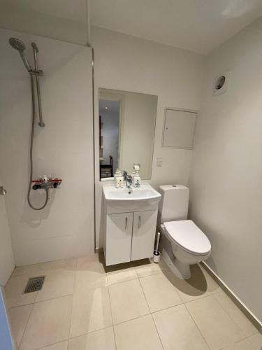 a bathroom with a toilet and a sink at City Aarhus in Aarhus