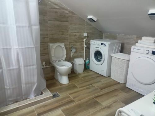 a bathroom with a toilet and a washing machine at Hostel Kosmopolit in Niš