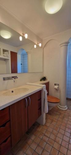 baño con lavabo y espejo grande en Spacious 3-bedroom house en Hjørring