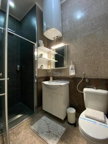 a bathroom with a shower and a toilet and a sink at Apartment HYGGE in Subotica