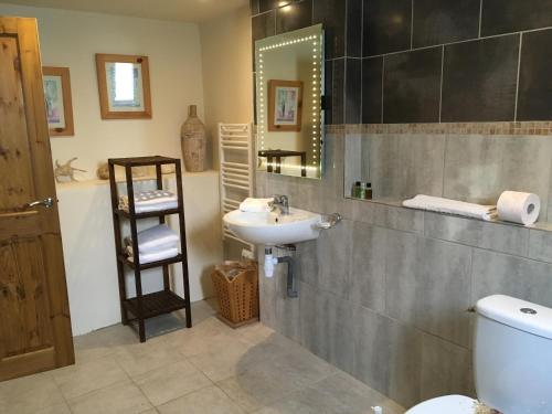 a bathroom with a sink and a toilet and a mirror at Le Bois Gautier in Savigny-le-Vieux