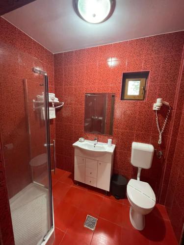 a bathroom with a toilet and a shower and a sink at Vila Oceanic in Olimp