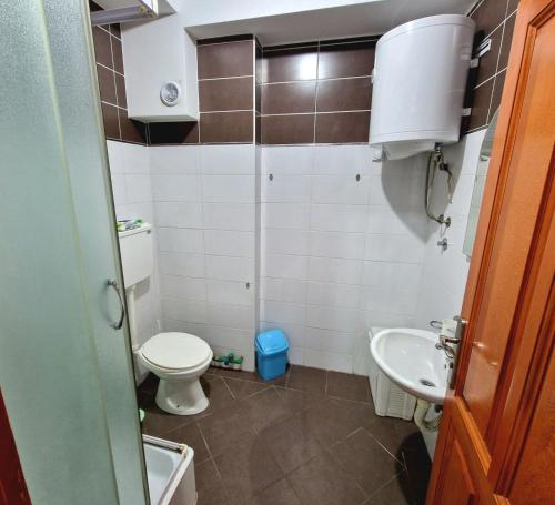 Baño pequeño con aseo y lavamanos en Apartman LiSA, en Banja Koviljača