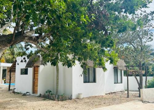 een wit huis met een boom en een straatbord bij Departamento cómodo y hermoso a mts de la playa in San Crisanto