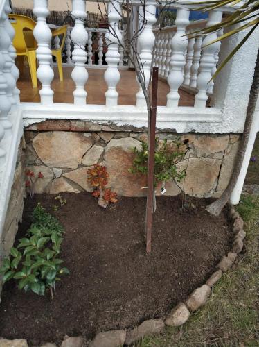 a small tree in a garden under a staircase at La lechuza blanca in Casavieja