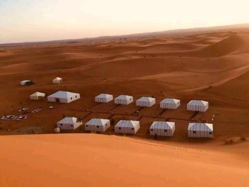 an aerial view of a group of camels in the desert at Desert life in Mhamid