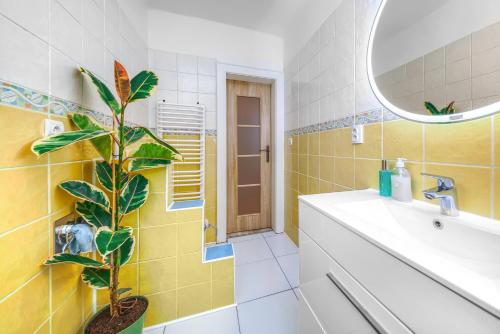 La salle de bains est pourvue d'un lavabo et d'une plante. dans l'établissement Apartmány Kašper, à Levoča
