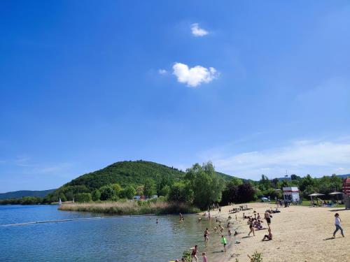 un grupo de personas en una playa cerca de un cuerpo de agua en Fewo Magnolie en Eschwege