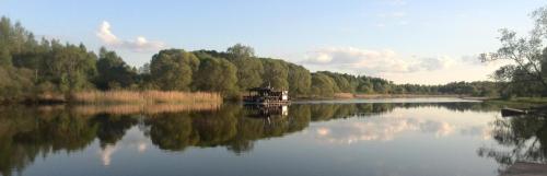 a boat on a river with trees in the background at Kõrtsimaja in Myza Kastre
