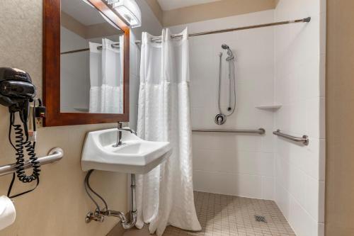 a bathroom with a sink and a shower at Comfort Inn & Suites Geneva- West Chicago in Geneva
