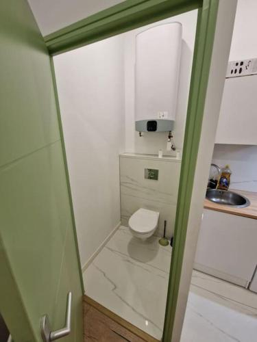 Baño pequeño con aseo y lavamanos en Magnifique Appartement de Type 2, en Saint-Étienne