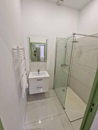 a bathroom with a sink and a glass shower at Magnifique Appartement de Type 2 in Saint-Étienne