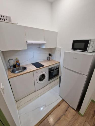 una pequeña cocina con fregadero y nevera. en Magnifique Appartement de Type 2, en Saint-Étienne