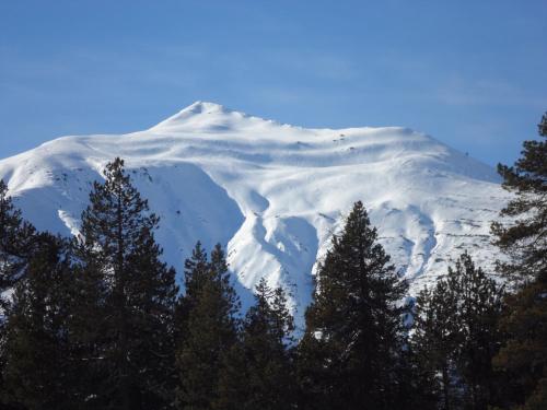 a snow covered mountain with trees in the foreground at Chalet Atelier in Davos