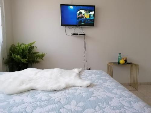 a white cat laying on a bed in front of a tv at Country Block in Gaborone