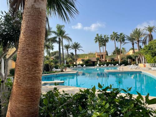 a large swimming pool with a palm tree in the foreground at Casa Turqueta-Son Xoriguer, Bungalow a 250m de la playa in Son Xoriguer