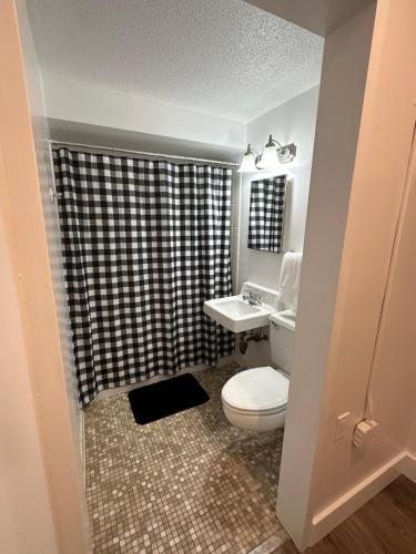 a bathroom with a toilet and a sink and a shower at Beautiful renovated Studio Apartment in Gadsden AL in Gadsden