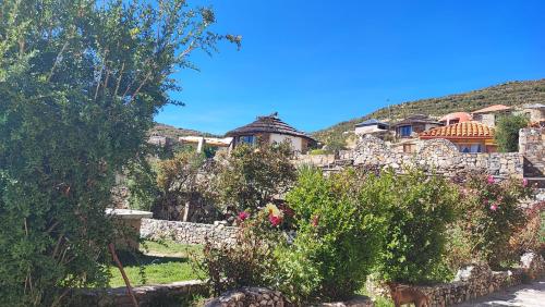 a garden with a house in the background at PALLA KHASA ECOFRIENLY Hotel in Comunidad Yumani